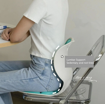 Ergonomic Memory Foam Waist Support Cushion – For Office, Home & Travel